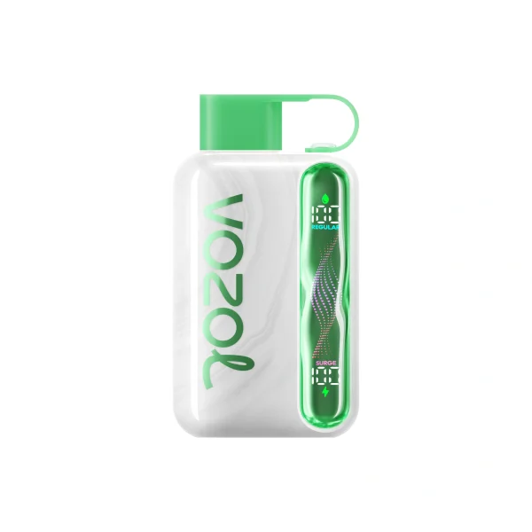 VOZOL Star 40000 Disposable Vape |Wavy Curved Display Screen